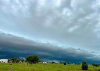 الأرصاد تتوقع أمطارا جديدة على نواكشوط وولايات أخرى