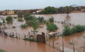 نائب اكجوجت يوجه نداء للسلطات لإغاثة المدينة بعد غمر المياه لعدد من أحيائها (صور)￼