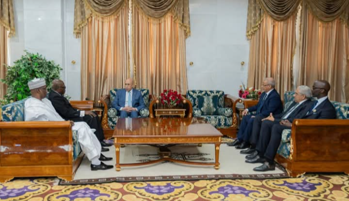 الرئيس غزواني يستقبل وفدا رفيع المستوى من البرلمانات الإفريقية والفرنكفونية