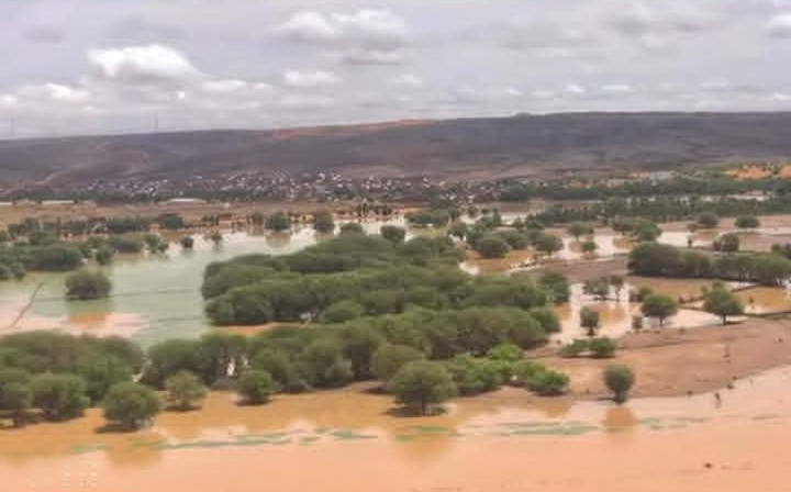 الأرصاد الجوية تسجل تهاطلات مطرية على مناطق متفرقة من البلاد